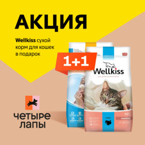 Wellkiss: 1+1 сухой корм для кошек в подарок